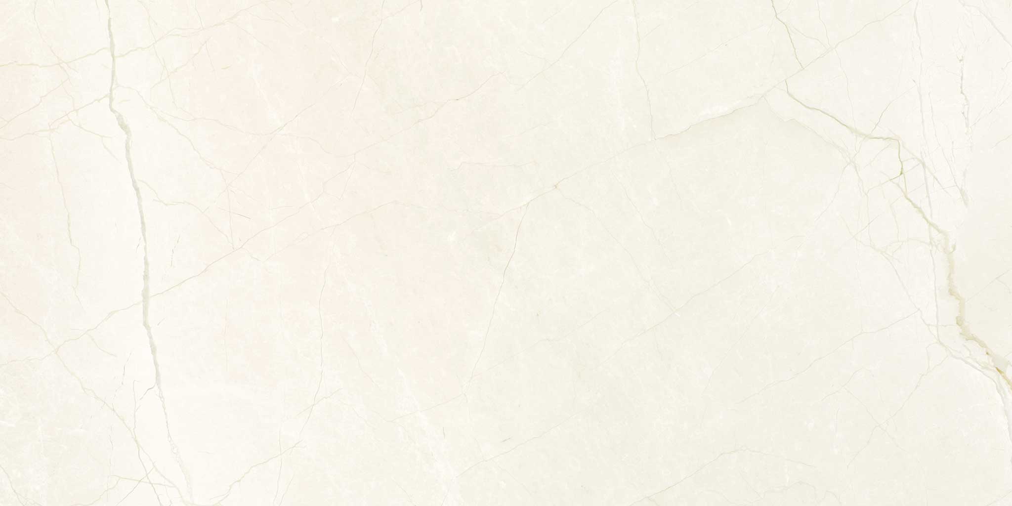 Avorio Crema 12x24 | Macar's Interiors