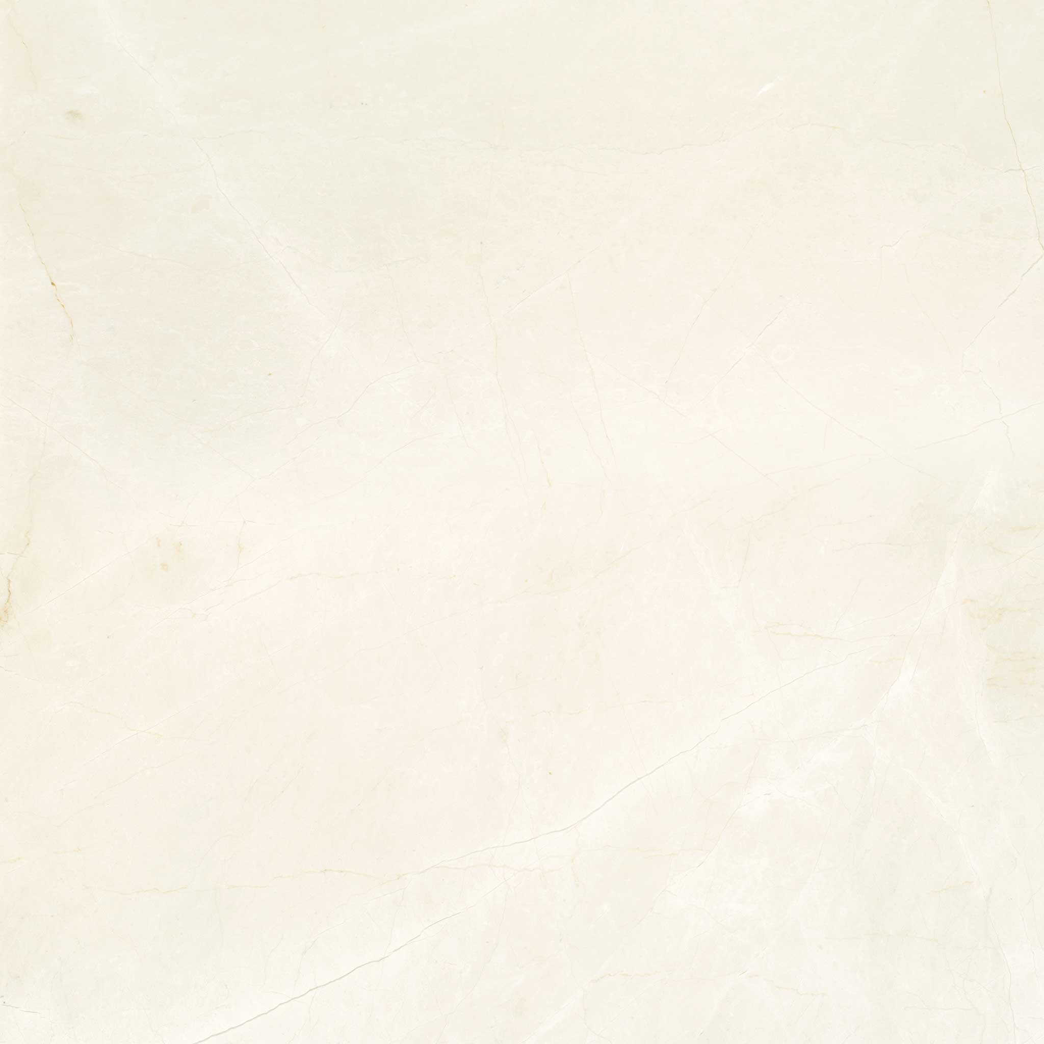 Avorio Crema 24x24 | Macar's Interiors